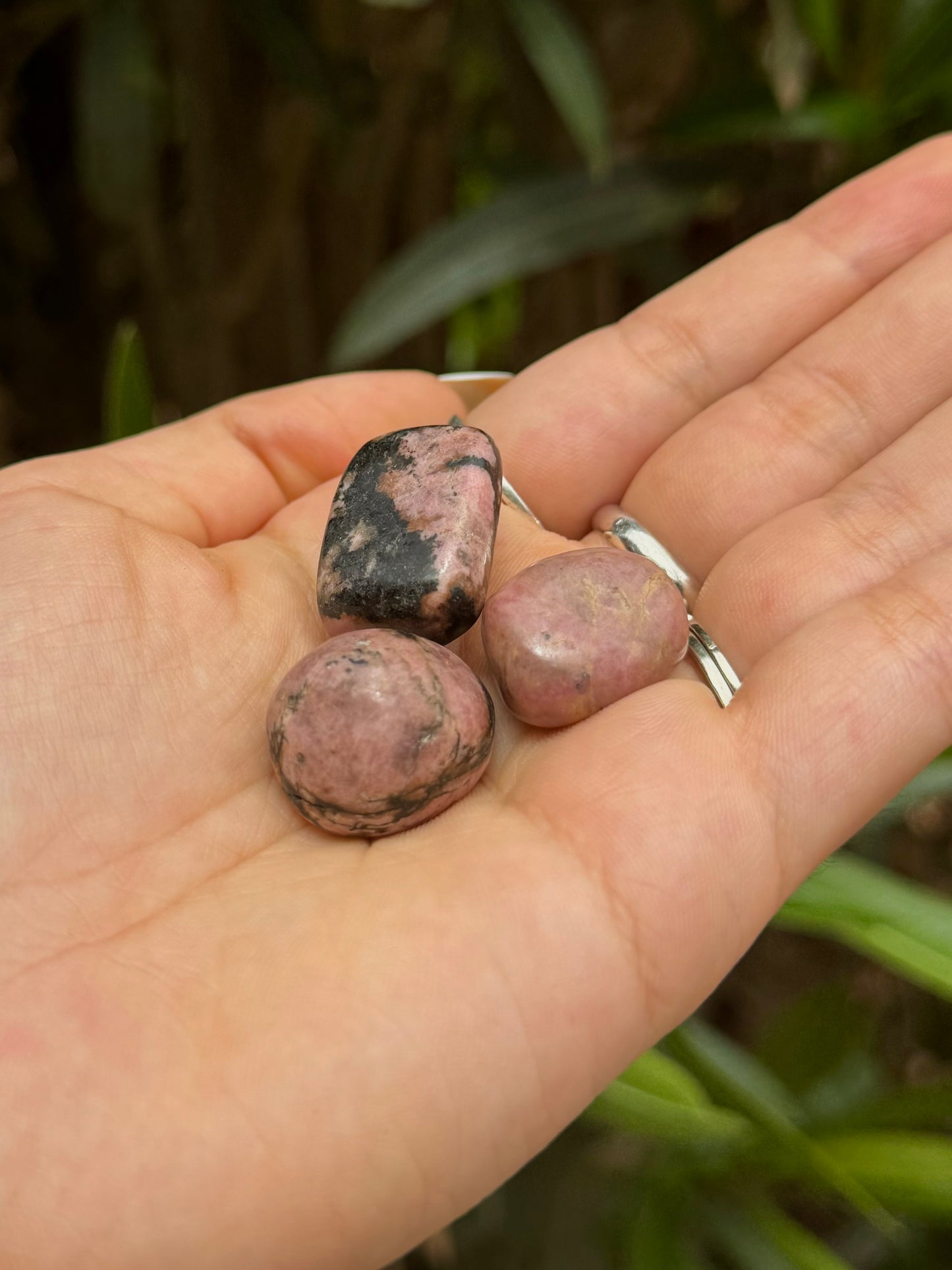 Rhodonite